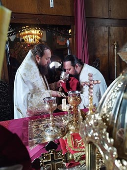 Денес , на празникот Богојавление – Водици, Викарниот Епископ Стобиски ...