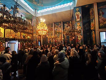мапа на сајтот